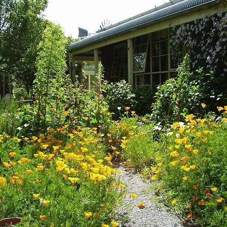 Motel Holly Lane Mews Yarra Glen Exteriér fotografie