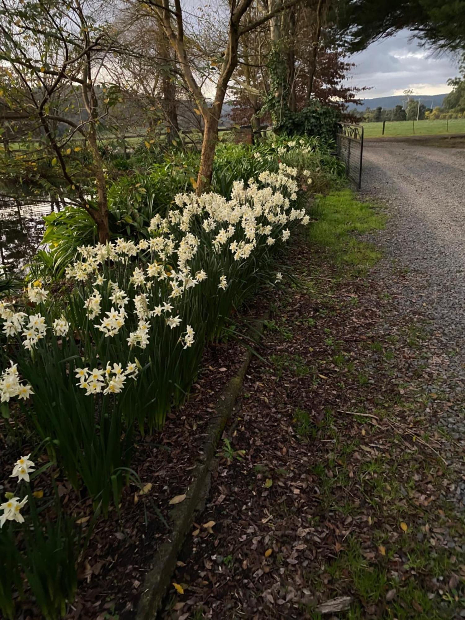 Motel Holly Lane Mews Yarra Glen Exteriér fotografie