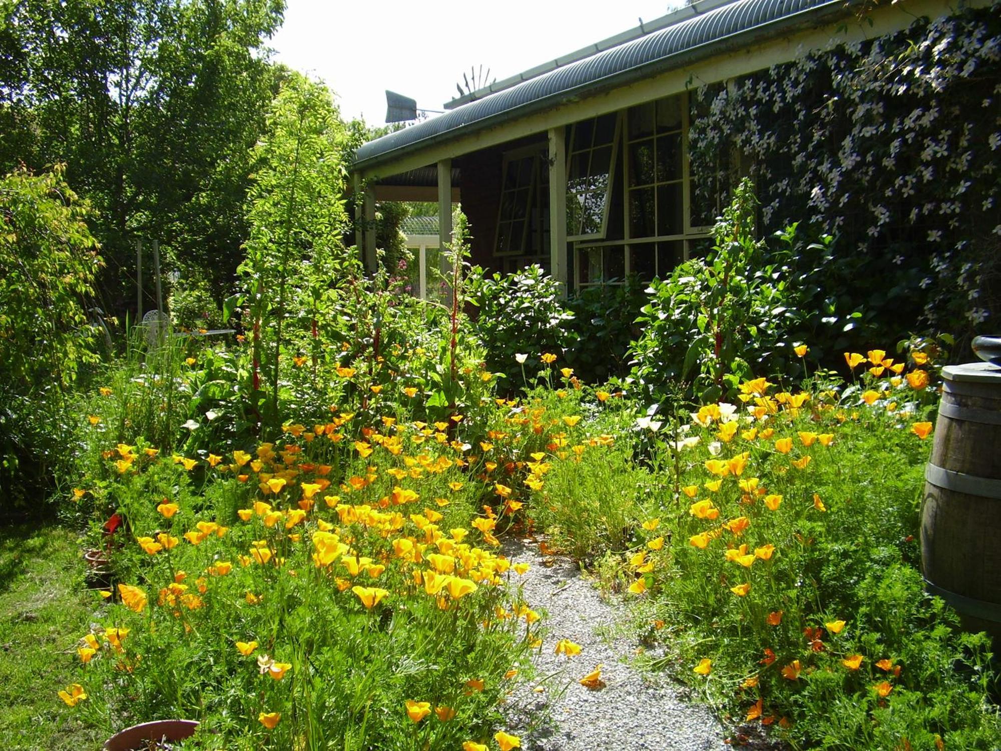 Motel Holly Lane Mews Yarra Glen Exteriér fotografie