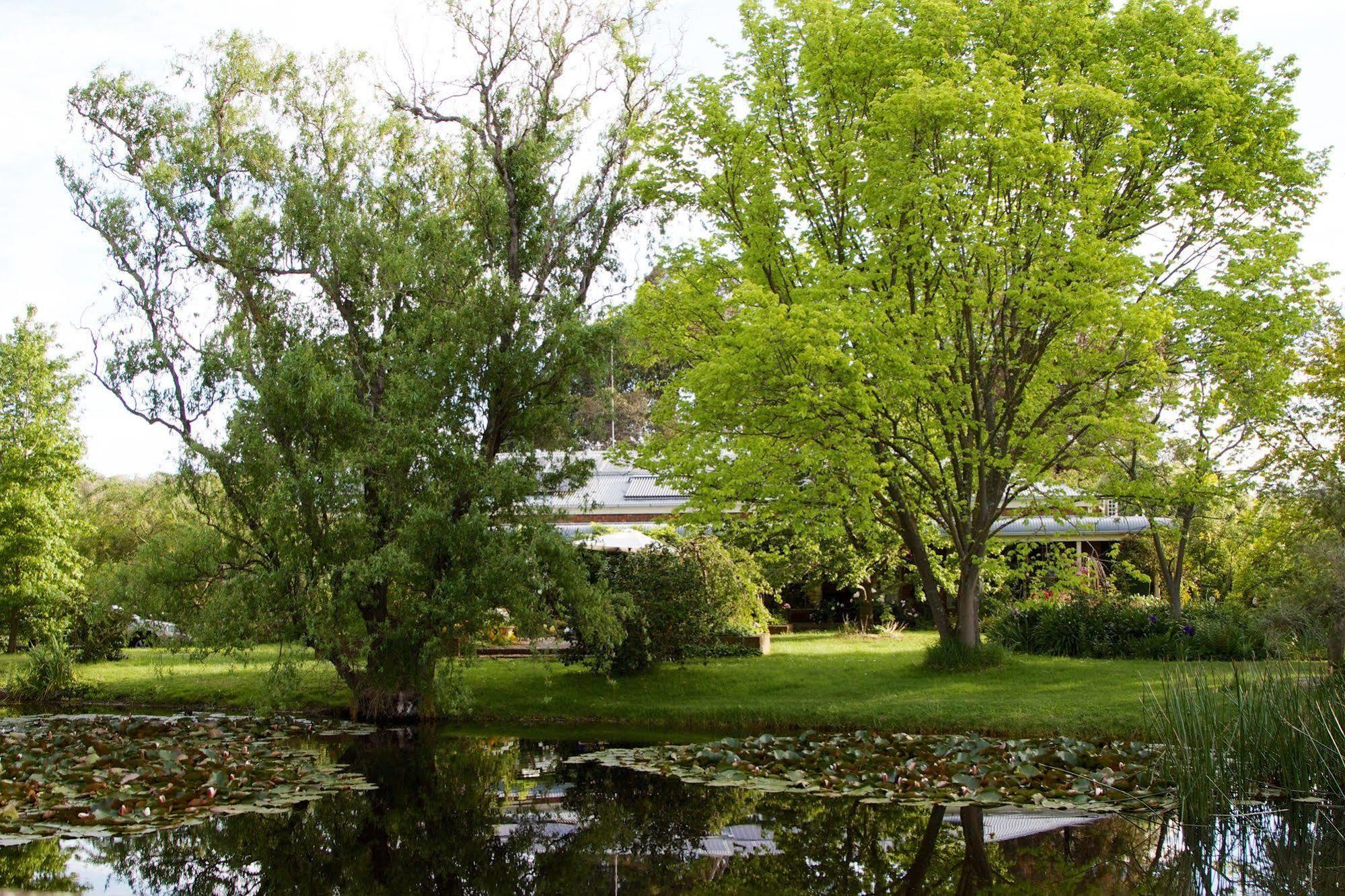 Motel Holly Lane Mews Yarra Glen Exteriér fotografie