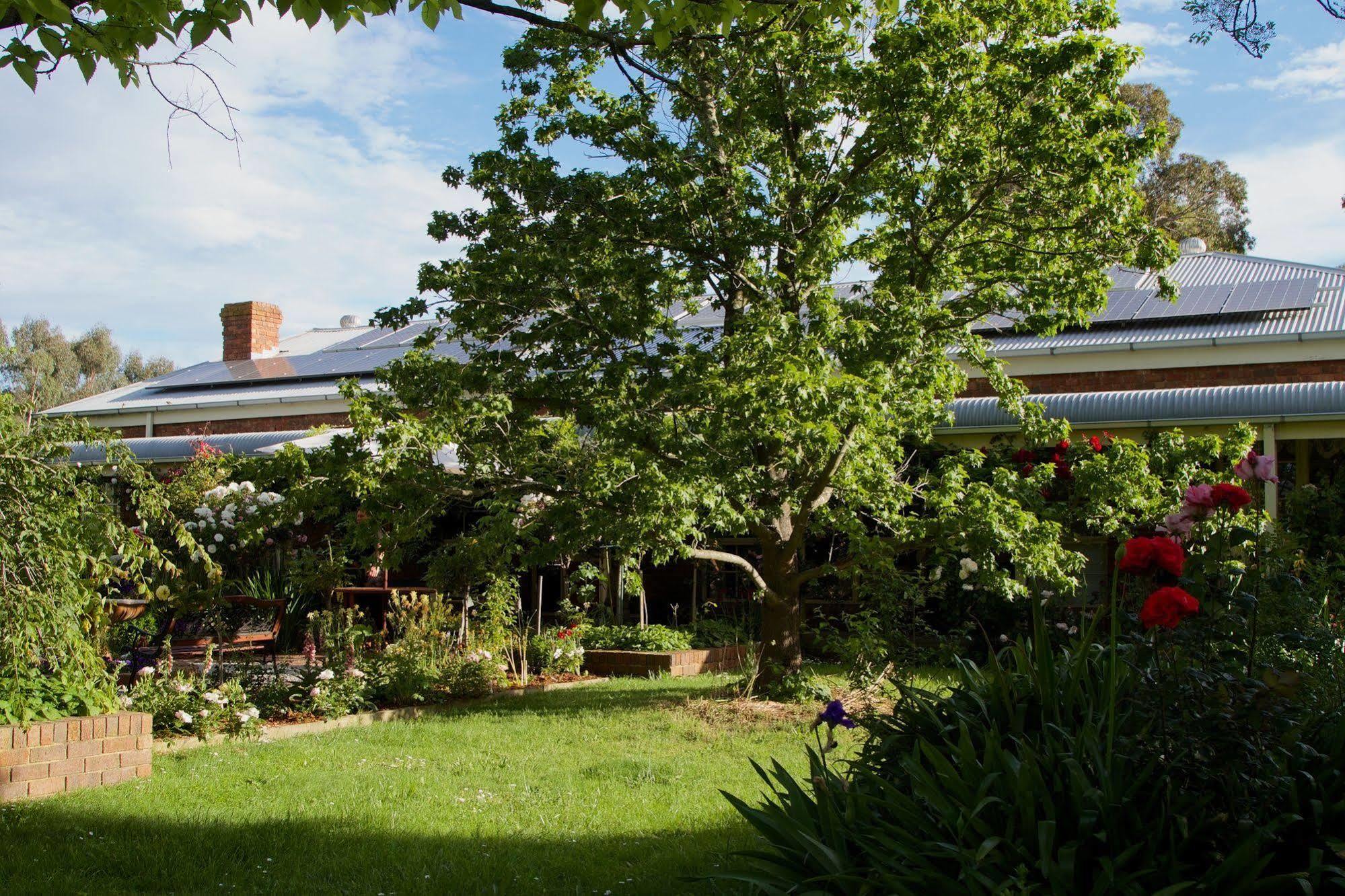 Motel Holly Lane Mews Yarra Glen Exteriér fotografie